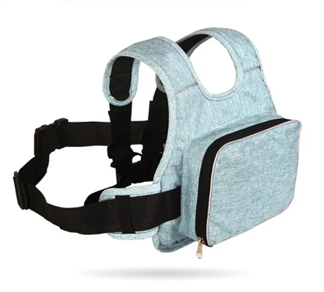 Motorcycle Child Safety Seat Belt