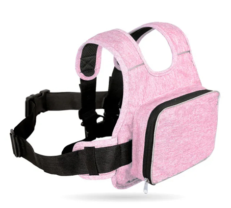 Motorcycle Child Safety Seat Belt