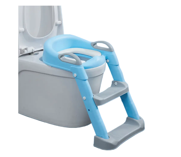 Best Potty Training Seat For Boys