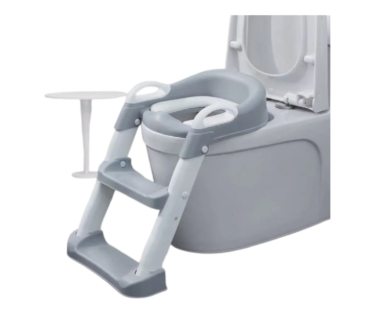 Best Potty Training Seat